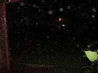Three days later with more rain...